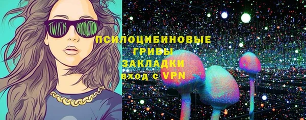 амф Аркадак